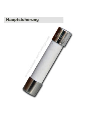 Hauptsicherung 6.3A